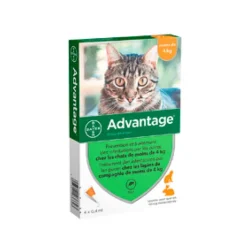 Advantage Gato 1 X 0.4 ml (0-4 Kg)