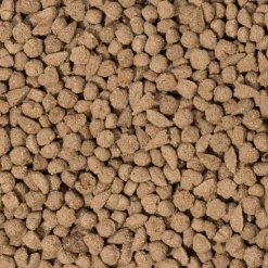 Beaphar Care+ Rabbit Adult 250 g - Alimento para Conejos Adultos