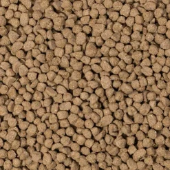 Beaphar Care+ Rabbit Junior 1.5 Kg - Alimento para Conejos Junior