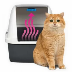 Cat It Cartucho Magic Blue x 2 und - Purificador De Aire