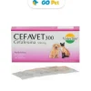 VETERLINE Cefavet 300 mg x 1 Blister(8 Und) - Antibiótico para perros y gatos