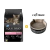 Equilibrio Kittens - Gatitos 7.5 Kg