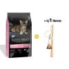 Equilibrio Kittens - Gatitos 1.5 Kg