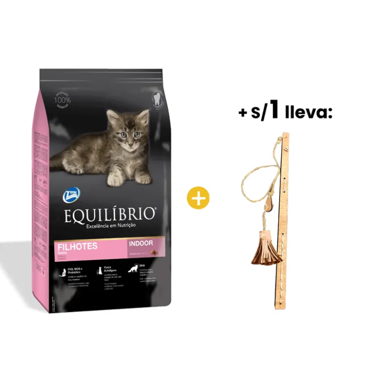 Equilibrio Kittens - Gatitos 1.5 Kg