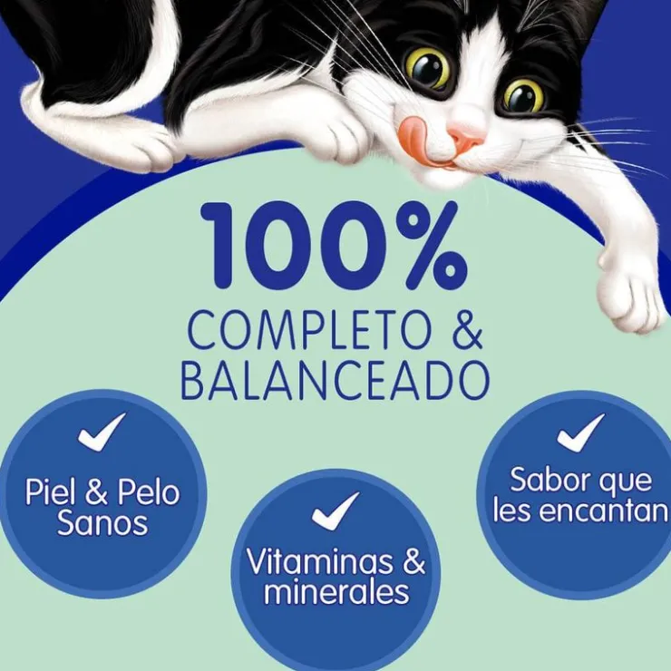 Felix Sensaciones de Atún en Salsa 85 gr