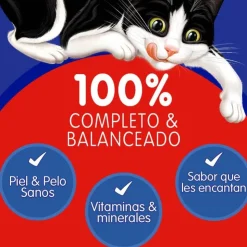 Felix Sensaciones de Salmón 85 gr