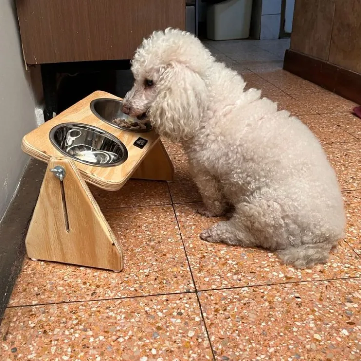 Inca Miau Comedero Elevado Regulable con Platos de Acero