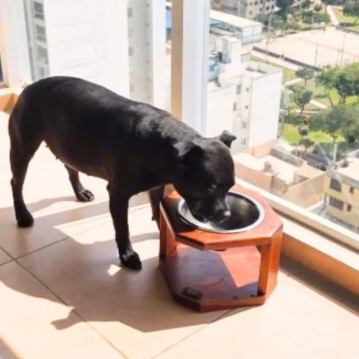 Inca Miau Comedero Individual de Madera con Plato de Acero
