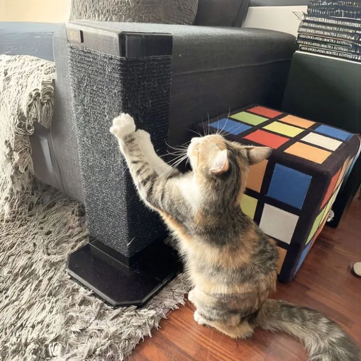 Inca Miau Rascador de Madera Para Sillones Miel
