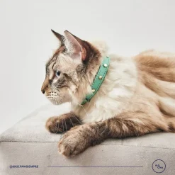 Kiki & Koko KI&KO Collar Para Gatos Kiki Aqua - Verde