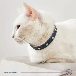 Kiki & Koko KI&KO Collar Para Gatos Kiki Ocean - Azul