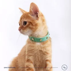 Kiki & Koko KI&KO Collar Para Gatos Kiki Aqua - Verde