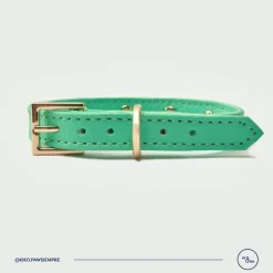 Kiki & Koko KI&KO Collar Para Gatos Kiki Aqua - Verde