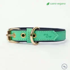 Kiki & Koko KI&KO Collar Para Perros Koko Aqua - Verde