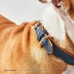 Kiki & Koko KI&KO Collar Para Perros Koko Ocean - Azul