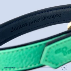 Kiki & Koko KI&KO Collar Para Perros Koko Aqua - Verde