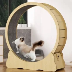GoPet USA Kospet Rascador Rueda de Ejercicio para Gatos - Verde