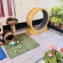 GoPet USA Kospet Rascador Rueda de Ejercicio para Gatos - Verde