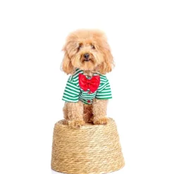 LA MASCOTERÍA DE BRENAN LMB Camisa Navidad a Rayas