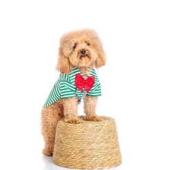 LA MASCOTERÍA DE BRENAN LMB Camisa Navidad a Rayas