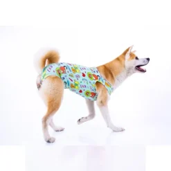 LA MASCOTERÍA DE BRENAN LMB Faja Post Operatoria Perros Machos Verde con Caricaturas