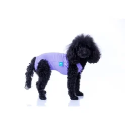 LA MASCOTERÍA DE BRENAN LMB Faja Post Operatoria Perros Hembra y Gatos