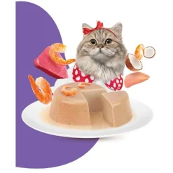 Moochie Cat Benefits Hairball Care Paté Pouch 70 Gr - Control Bolas de Pelo - Gambas