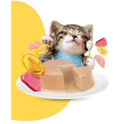 Moochie Cat Benefits Healthy Growth Mousse Pouch 70 Gr - Crecimiento - Atún y Pollo - Gatito