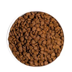 Ownat Classic Kitten Gatito 4 Kg - Gatitos - Pollo