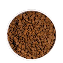 Ownat Just GF Gato Adulto 1 Kg - Gato Adulto - Libre de Granos