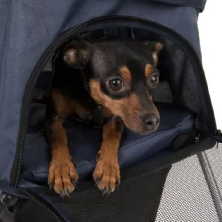 GoPet USA Patitas Shop Coche Plegable de 4 ruedas para Mascotas