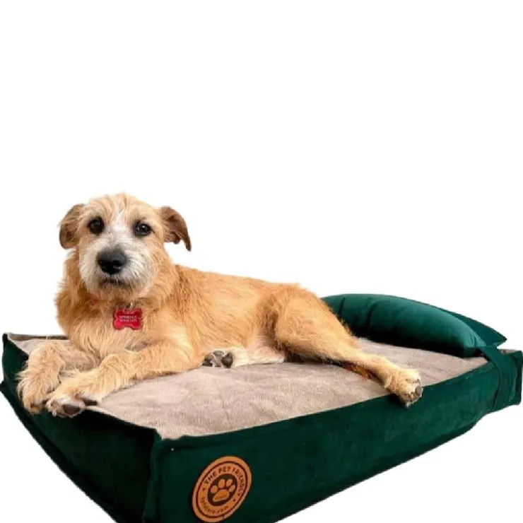 The Pet Friendly Store Pet Friendly Cama Apolo