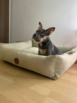 The Pet Friendly Store Pet Friendly Cama Hipoalergénica Ares