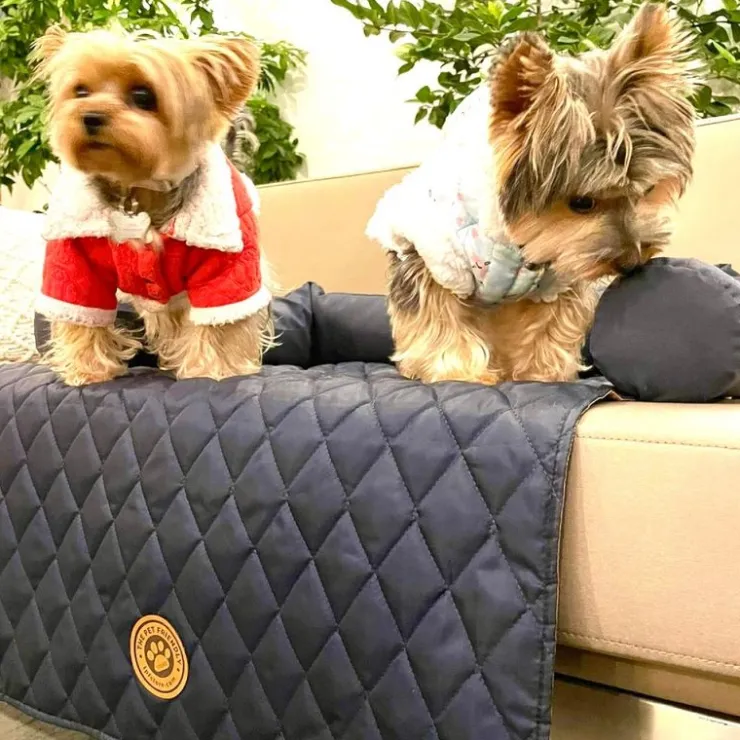 The Pet Friendly Store Pet Friendly Divan Roda Cama Protector de Muebles