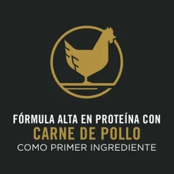 Pro Plan Adult 7+ Active Mind Small Breed 3Kg - Adulto Rz. Pequeña Mayor de 7 años