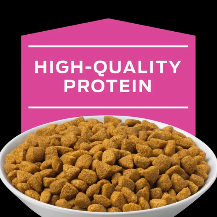 Pro Plan Veterinary Diets Feline UR Urinario 1.5 Kg - Tratamiento del Tracto Urinario para Gatos