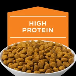 Pro Plan Veterinary Diets Feline OM Obesidad 1.5 Kg - Tratamiento del Sobrepeso para Gatos