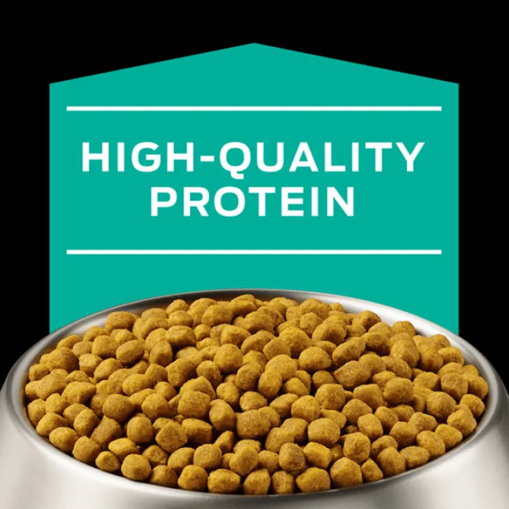 Pro Plan Veterinary Diets Canine EN Gastrointestinal 2 Kg - Tratamiento Gastroentérico para Perros