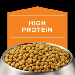 Pro Plan Veterinary Diets Canine OM Obesidad 2 Kg - Tratamiento del Sobrepeso para Perros