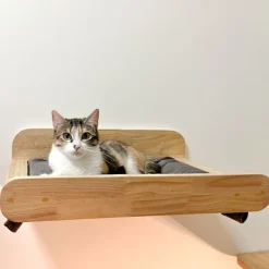 GoPet USA PussyCat Cama Hamaca Simple Mediana para Gatos