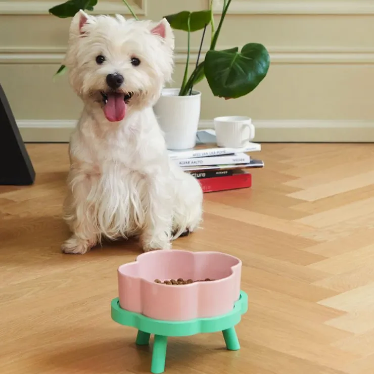 GoPet USA Qhalitech Comedero de Ceramica Pink Rose Vetreska