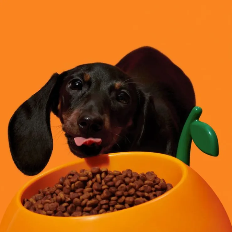 Qhalitech Comedero Juicy Orange Vetreska