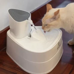 GoPet USA Qhalitech Fuente de Agua Automática para Gatos Modelo Coral