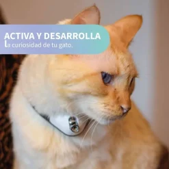 Qhalitech Juguete Collar Laser Divertido para Gatos KitiDOT Cheerble