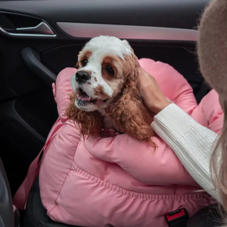 GoPet USA Qhalitech Transportador Pink Rose para Gatos y Perros Vetreska