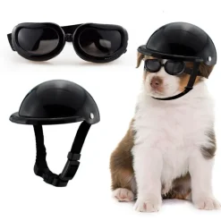 QUÉ PATAS PET SHOP Que Patas Casco con Lentes