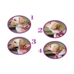 GoPet USA Que Patas Collar Calmante para Gato