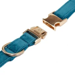 QUÉ PATAS PET SHOP Que Patas Collar para Mascotas