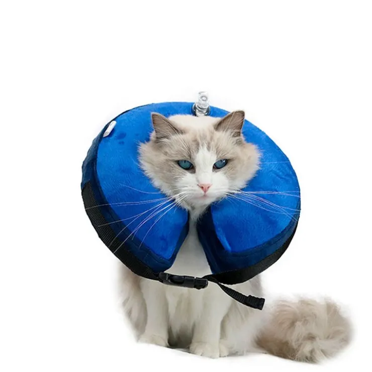QUÉ PATAS PET SHOP Que Patas Collarin Inflable