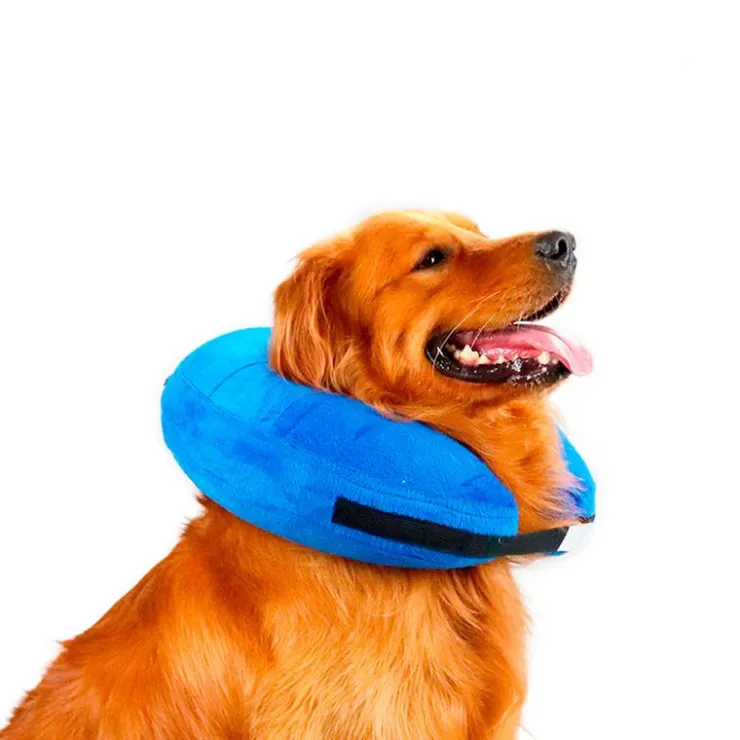 QUÉ PATAS PET SHOP Que Patas Collarin Inflable